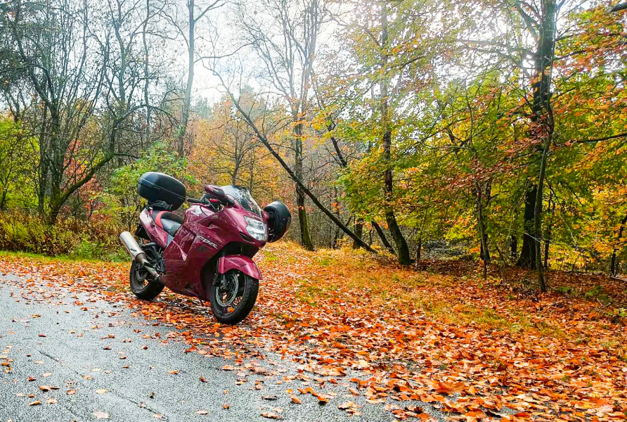 Autumbike2